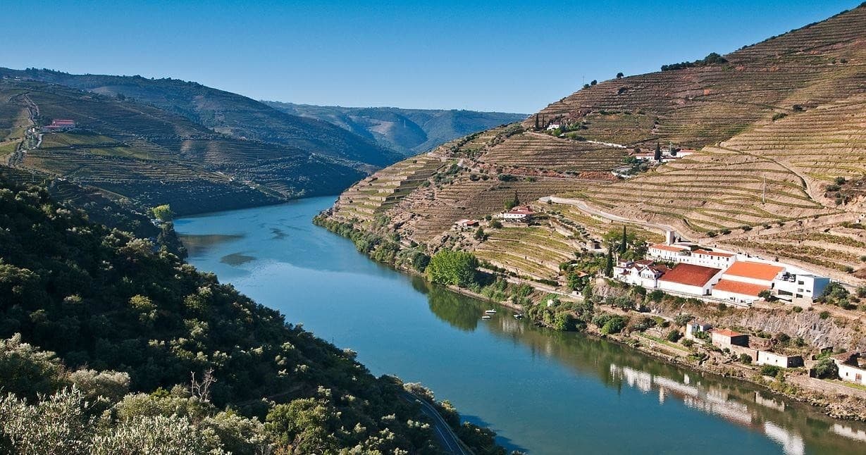 Wine Tour & Lunch at Quinta de la Rosa, Douro Valley
