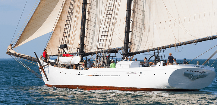 Water Activities & Historic Black Dog Tall Ships on Martha’s Vineyard