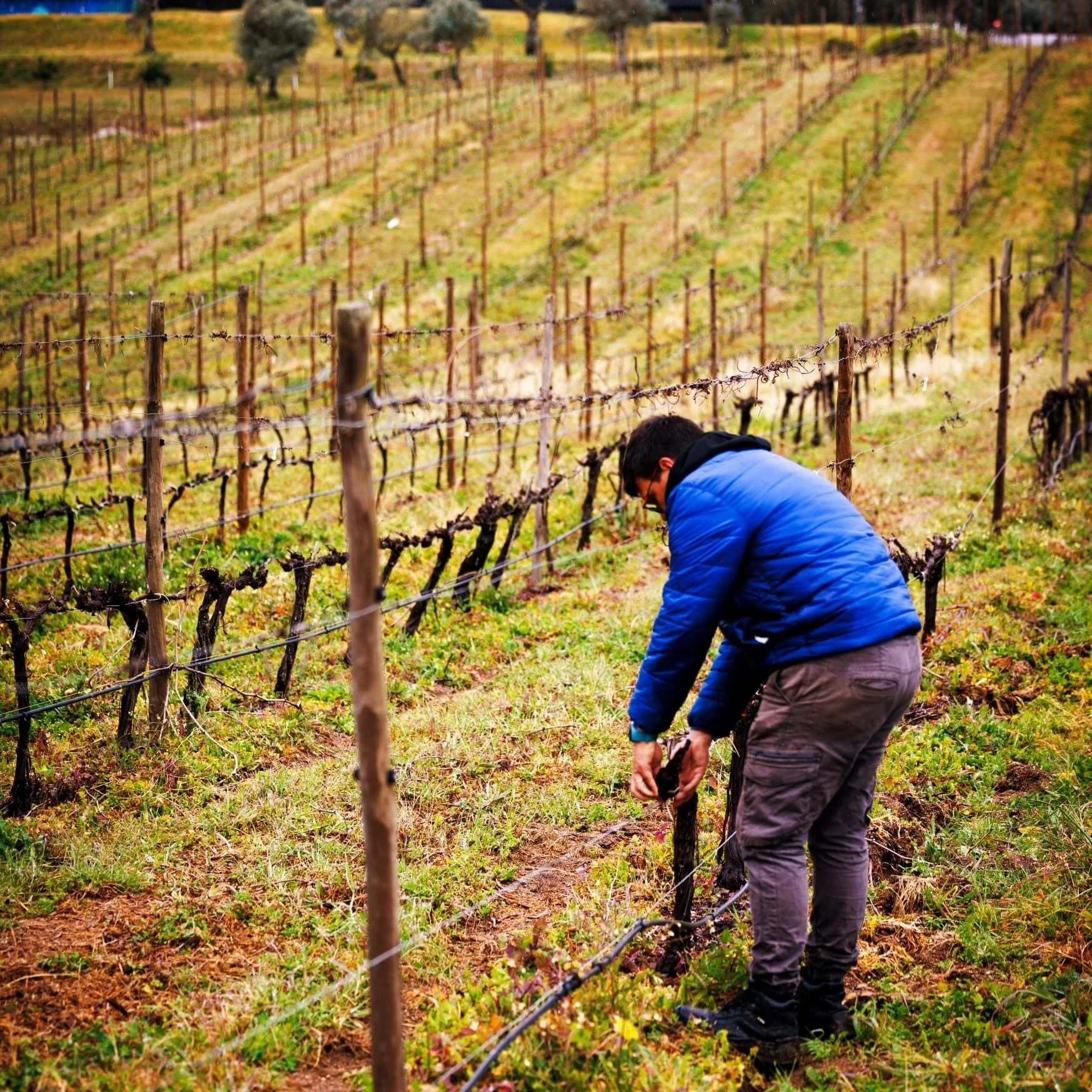 Explore Herdade da Rocha: A Brief Insider Tour of Alentejo’s Winemaking Heritage