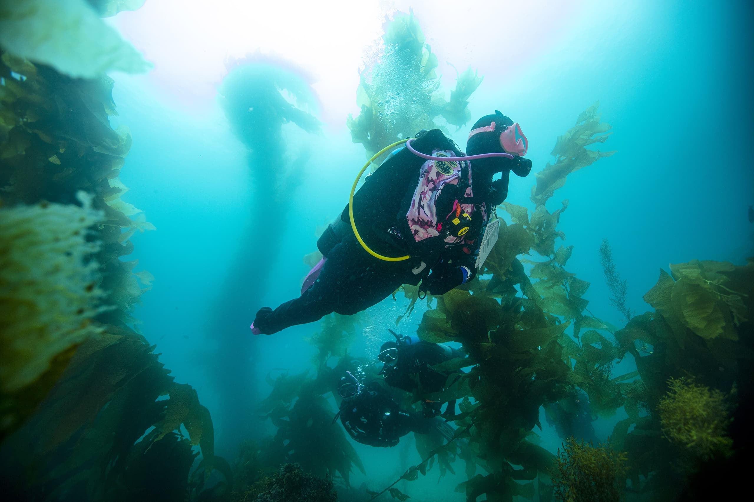Master Cold-Water Diving with PADI Dry Suit Diver Course at Long Beach NSW