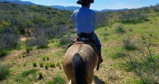 Cowboy on horseback riding through green scrubland trail