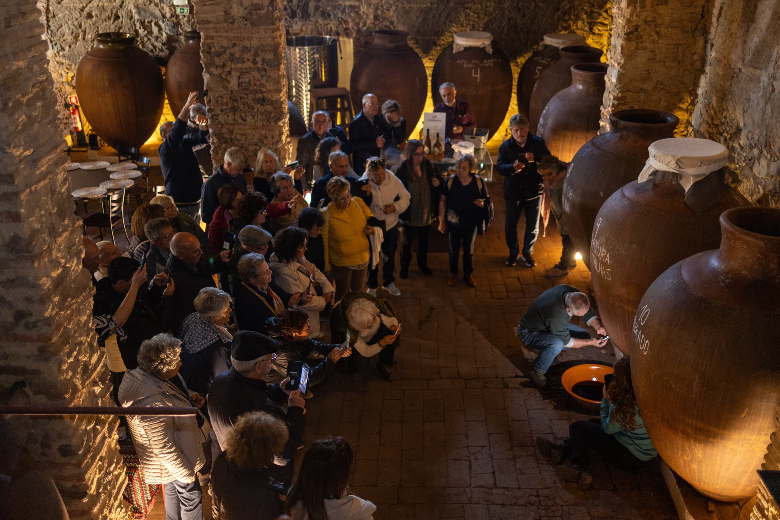 Large underground wine cellar event with seated audience crowd