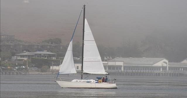 Bodega Bay Sailing fleet