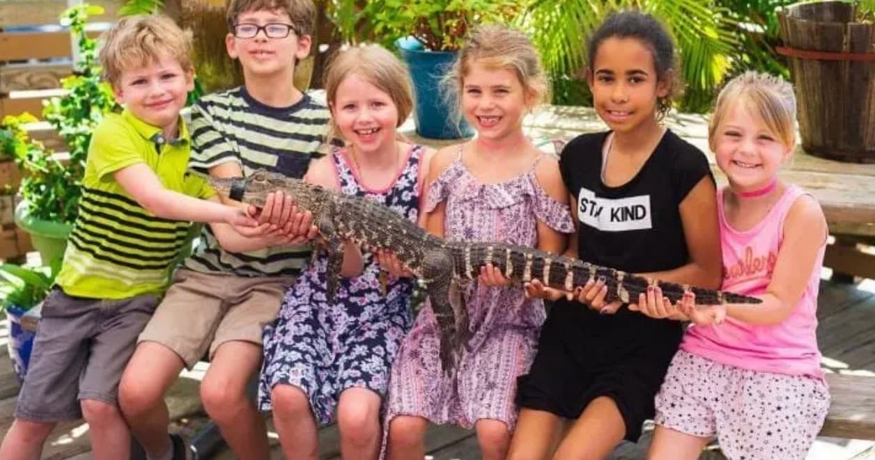Up-Close Wildlife Experiences at Everglades Holiday Park in Fort Lauderdale
