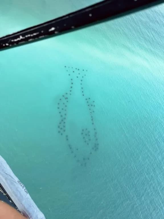 Soar the Emerald Coast: Scenic Helicopter Tour Over Seaside and 30A