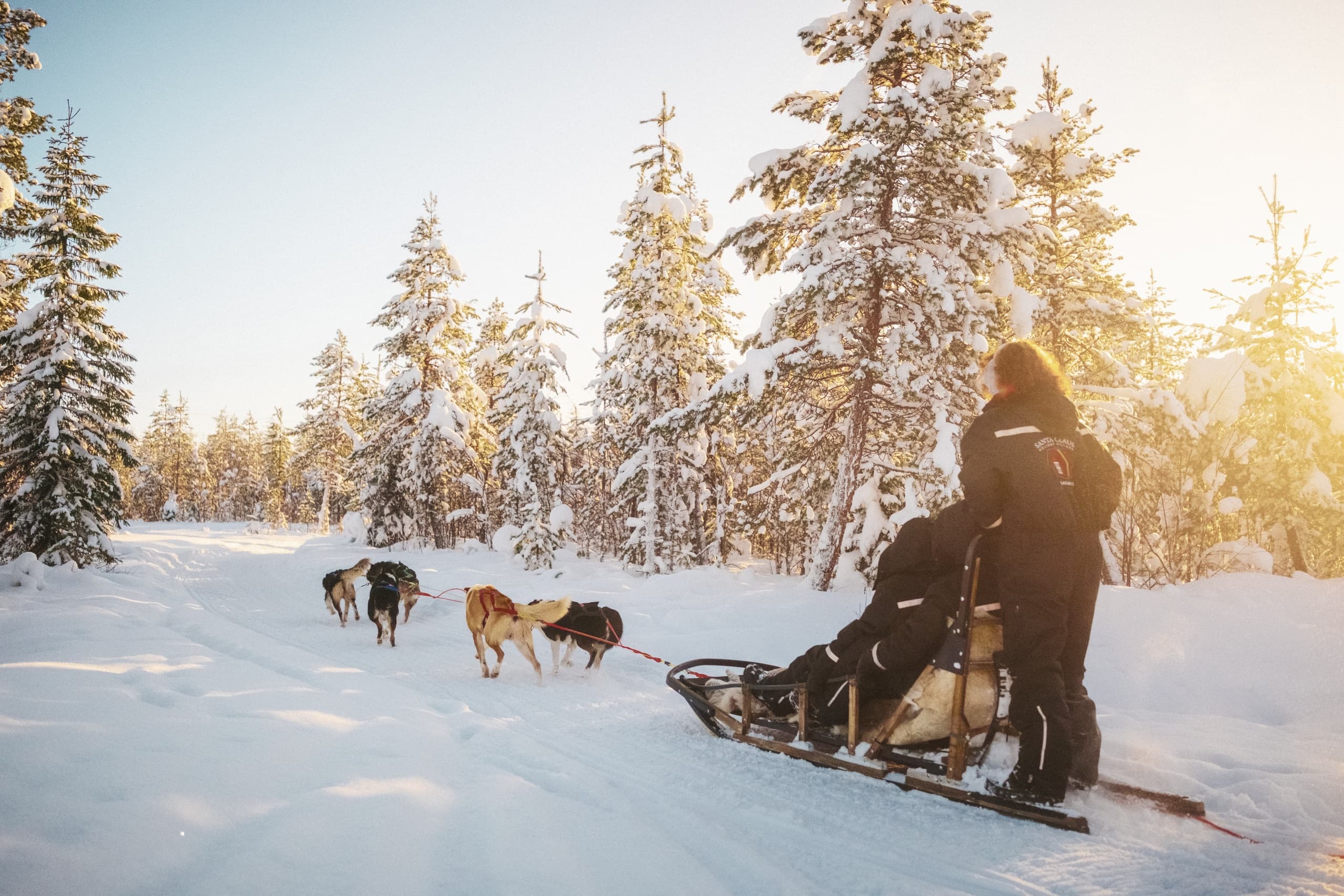 Husky and Reindeer Combo Ride — 3-Hour Arctic Sled Adventure in Rovaniemi photo 1