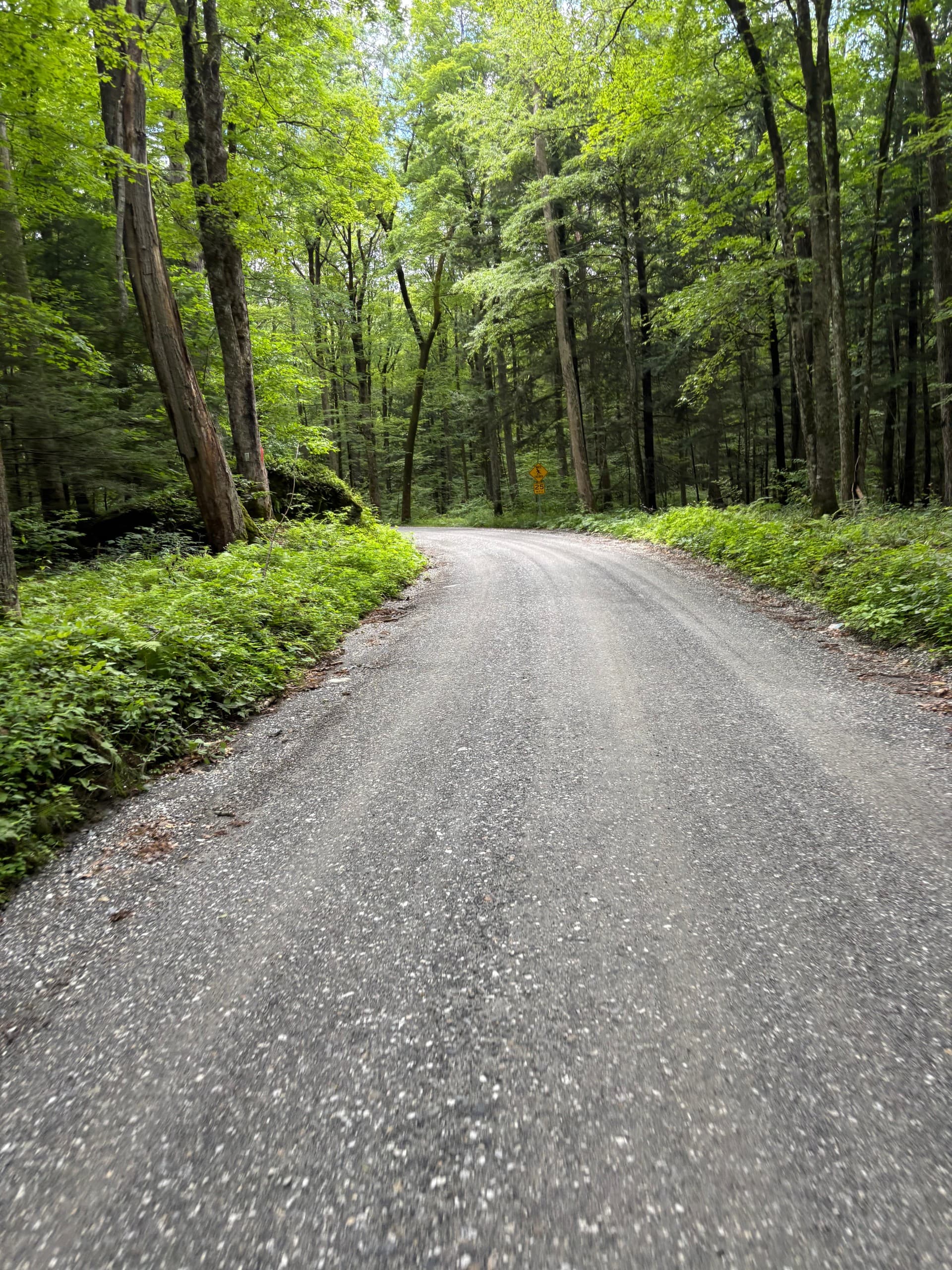 Richmond E-Bike Tour: Easy Guided Ride Through Berkshire Farmland photo 1