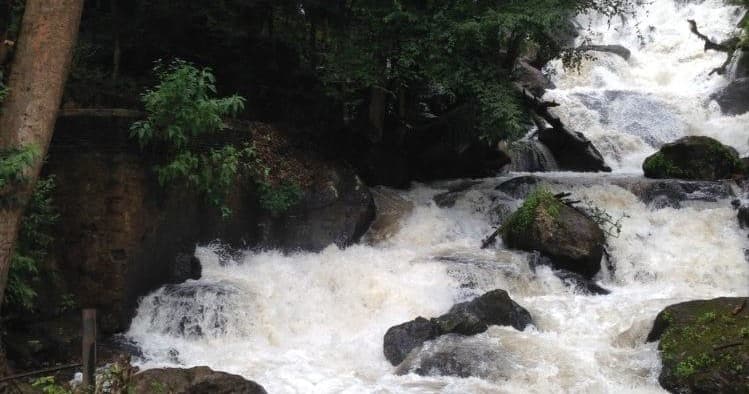 Rushing forest waterfall cascading over rocks in tropical river