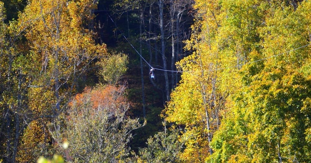 Half and Full Mountaintop Zipline Tours