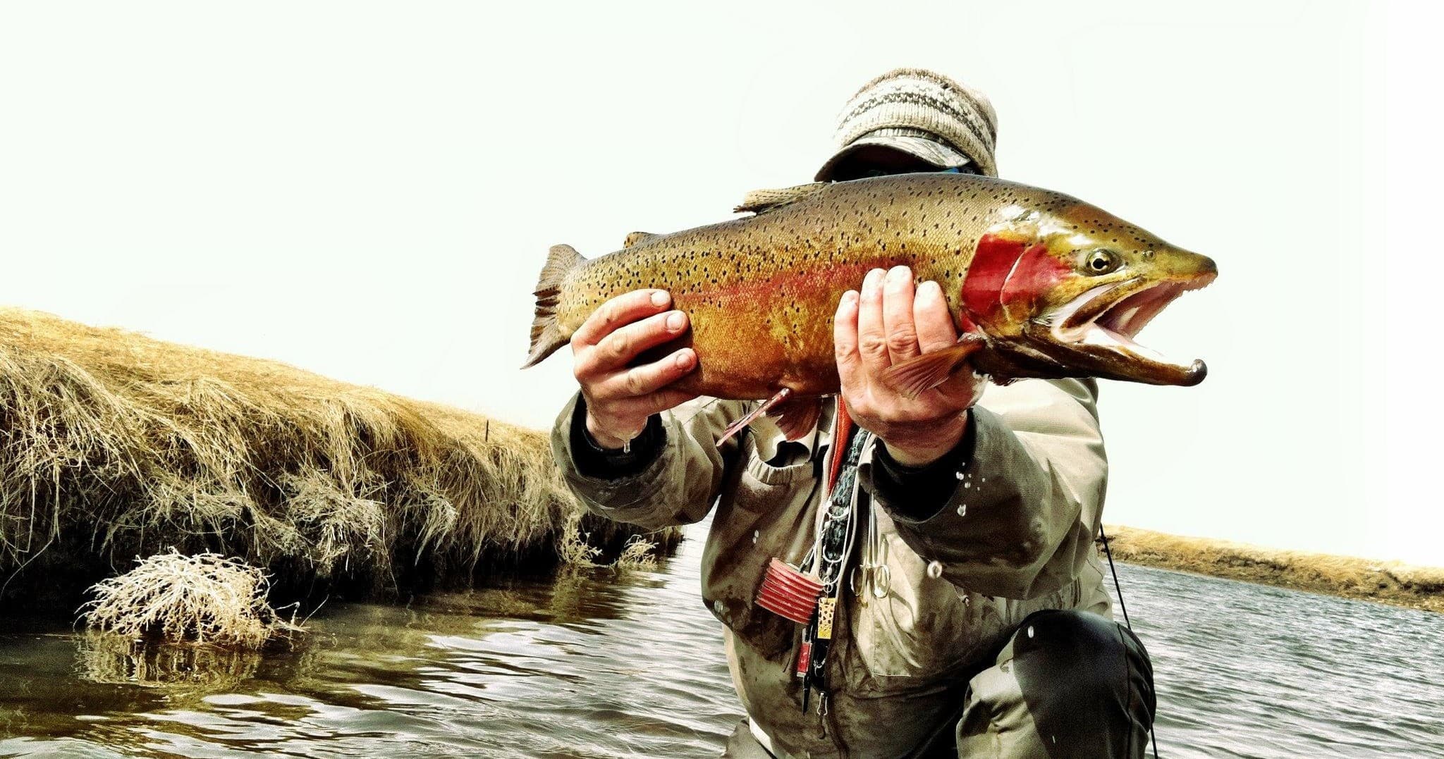 Rocky Mountain Anglers fleet