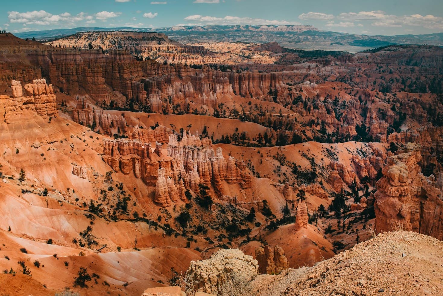 Aerial view of red rock hoodoos in Bryce Canyon highlighting trails