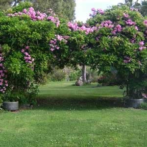 Picnic In The Garden: A Serene Escape in Wombat's Private Gardens