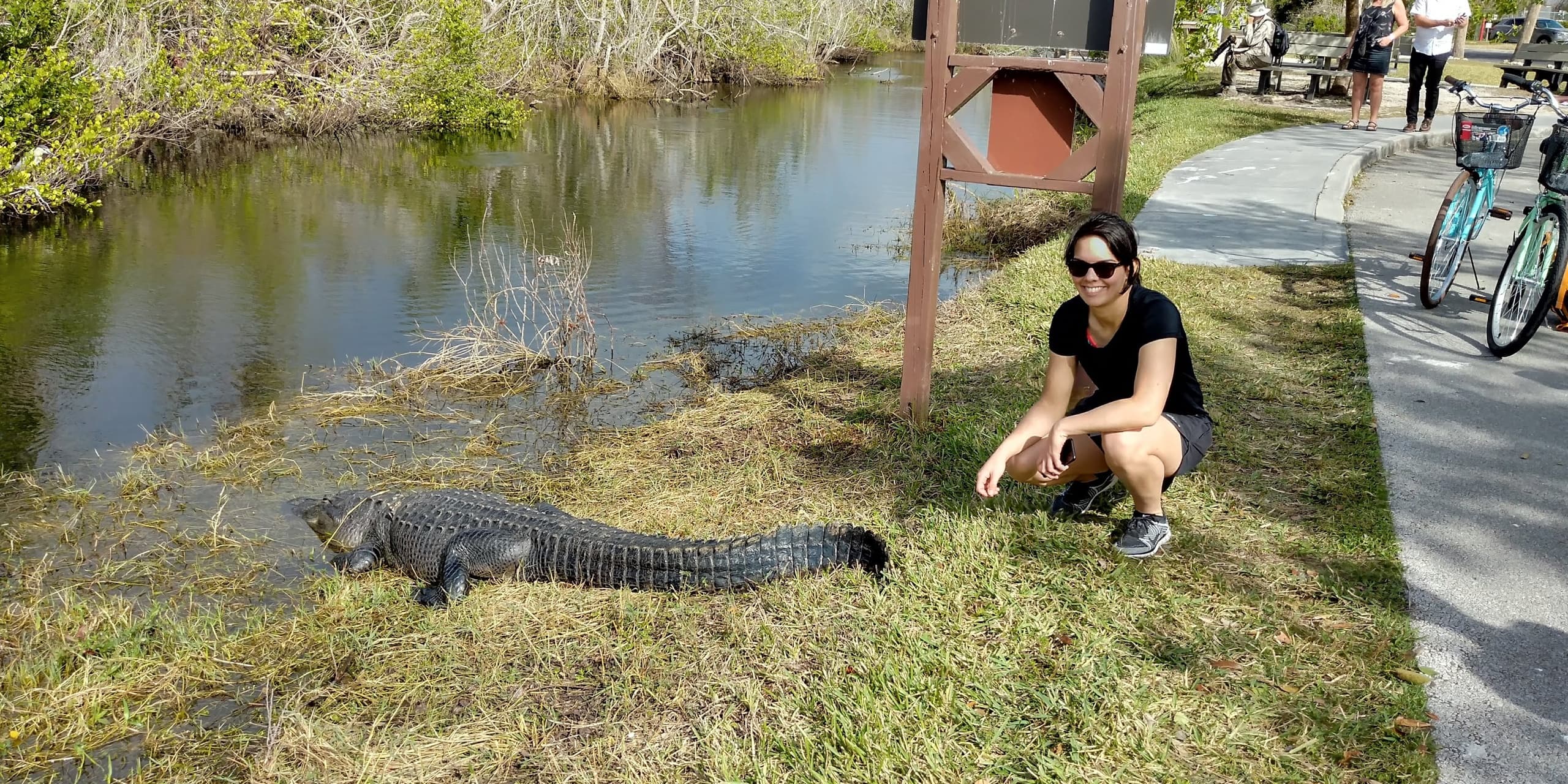 Everglades E-Bike & Airboat: Shark Valley Wildlife Loop from North Miami photo 4