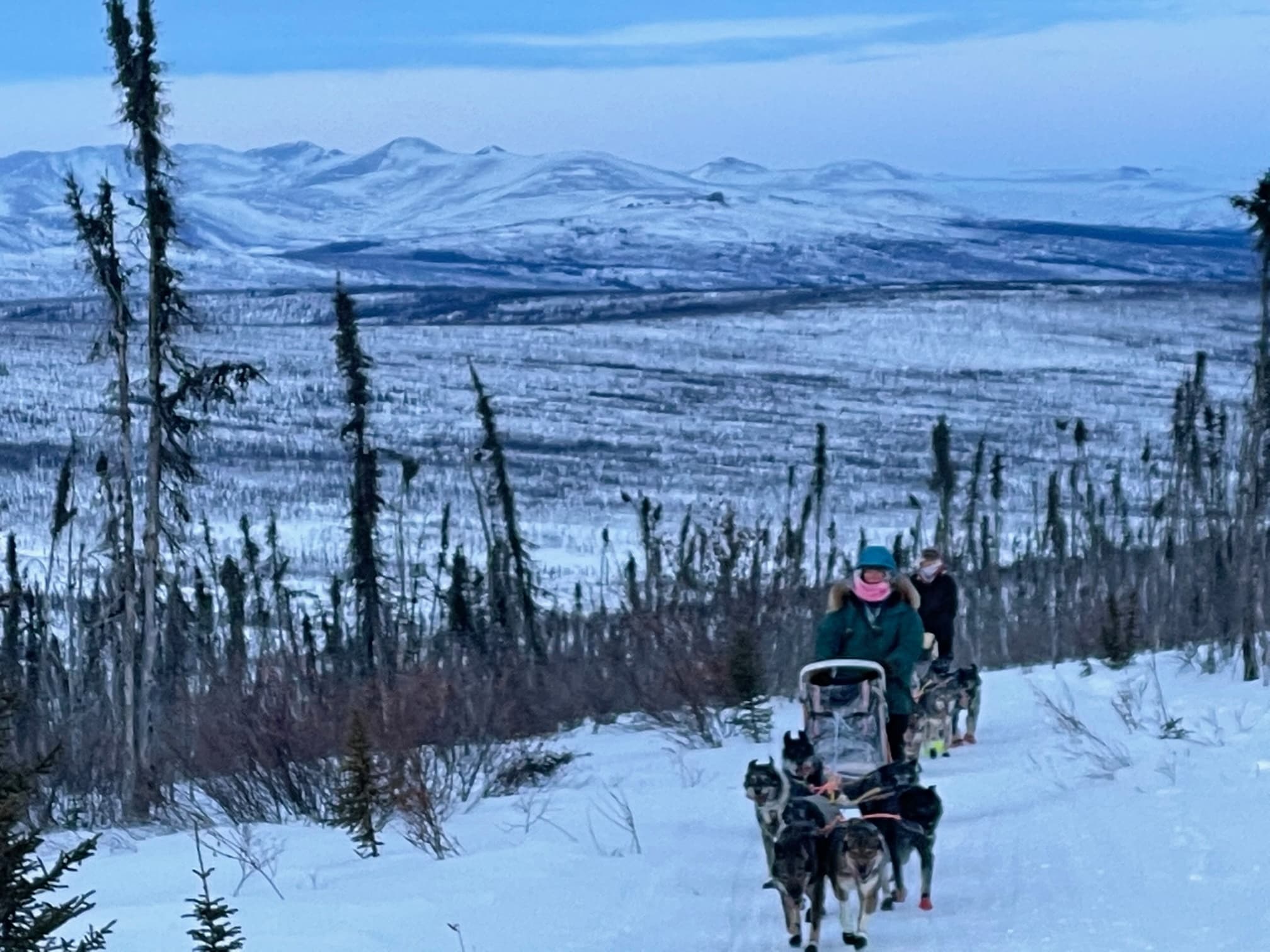 Experience Authentic Alaskan Dog Mushing and Winter Camping Near Fairbanks