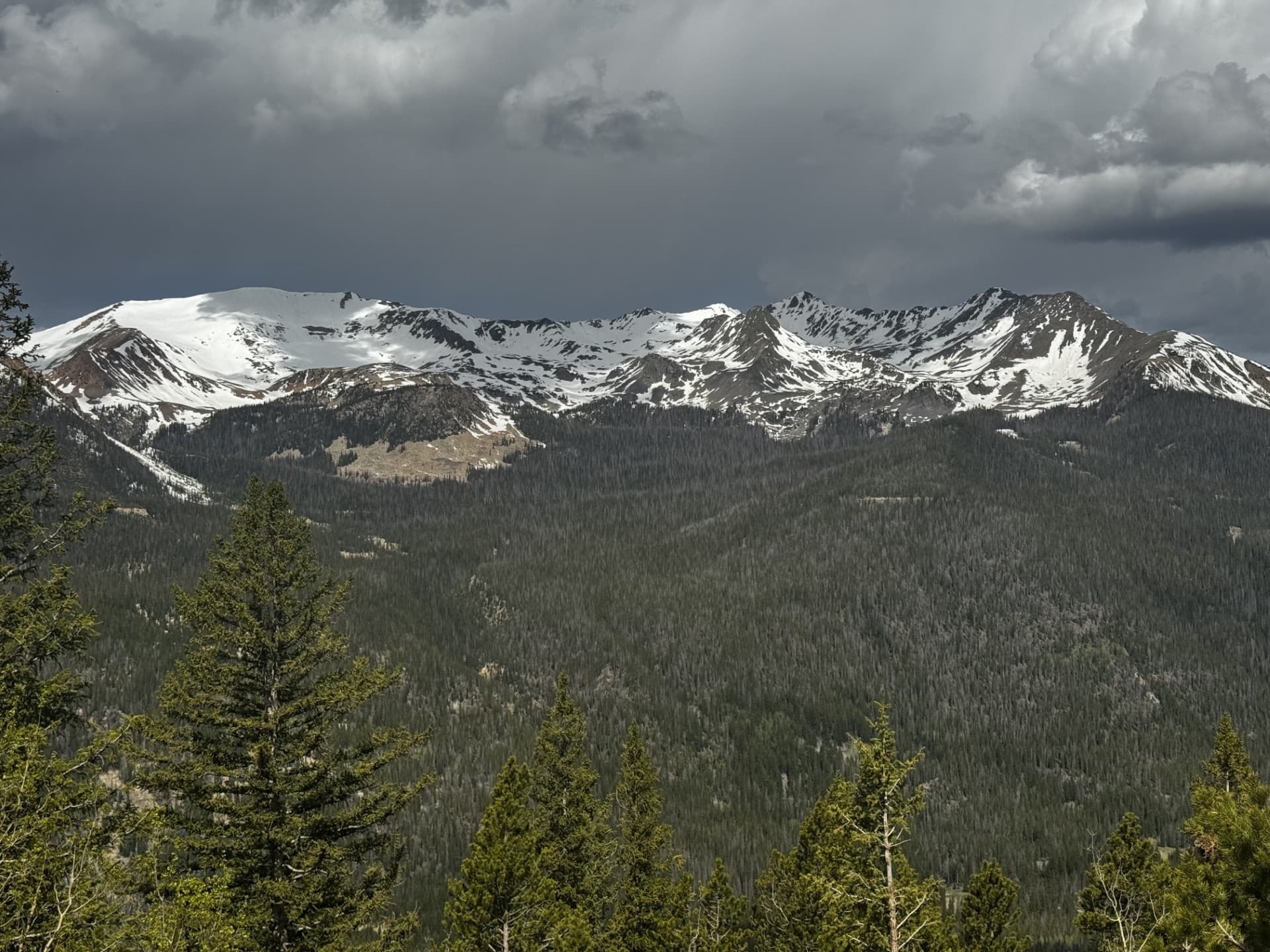 eBike Trail Ridge Road: 3-Hour Guided Ride from Grand Lake into Rocky Mountain Tundra photo 4