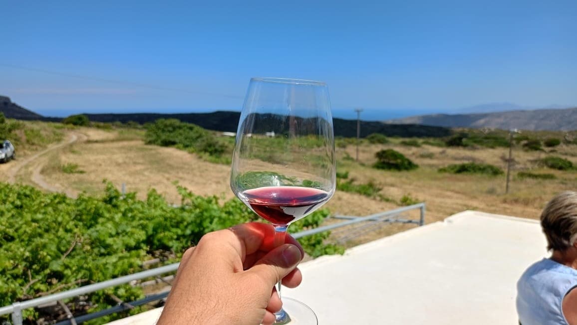 Andros Half-Day: Panachradou Monastery and Stratis Vineyard Wine Tasting photo 1