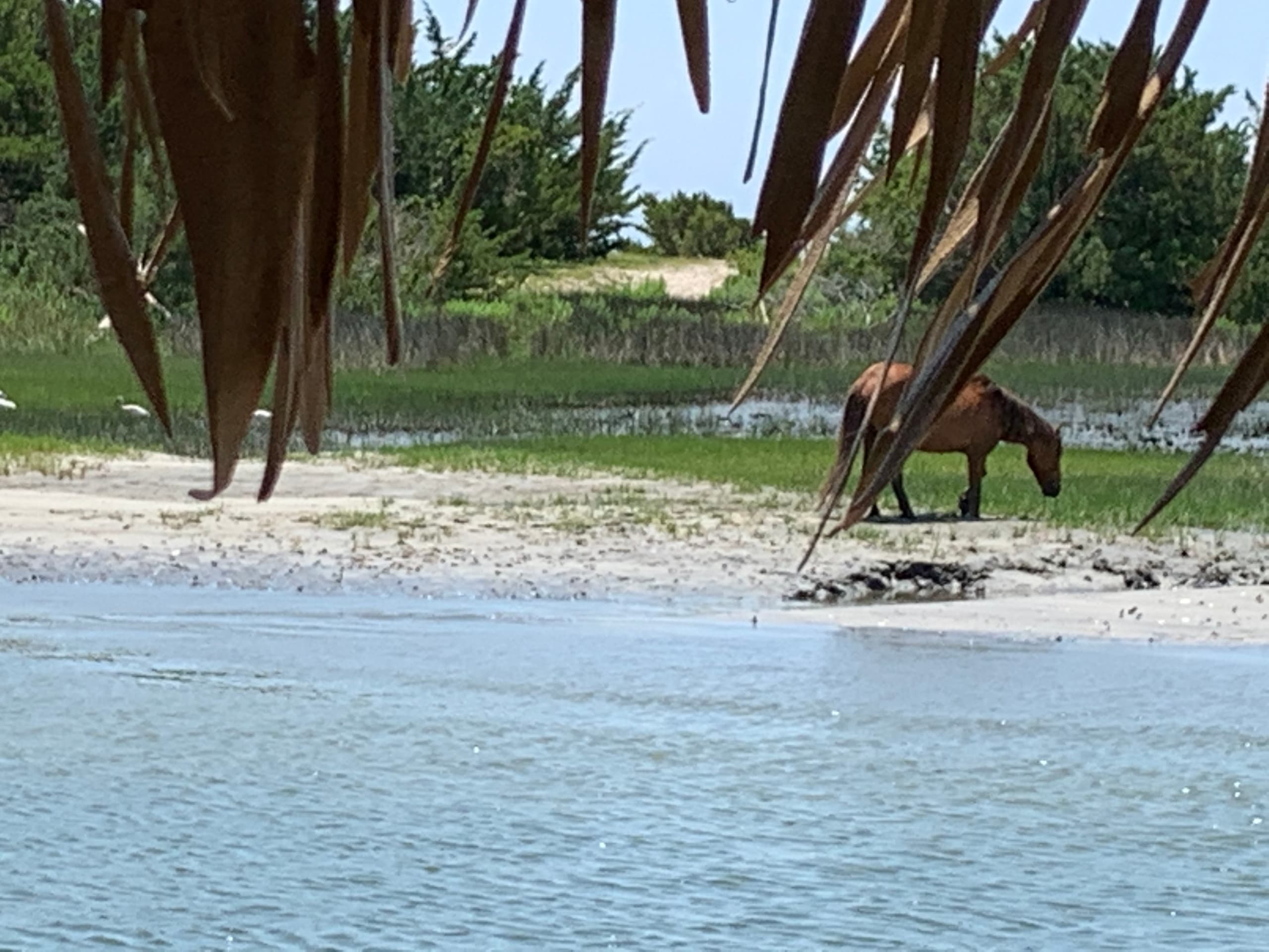 Cruisin' Tikis: Explore Beaufort’s Crystal Coast on a Tiki Boat Adventure