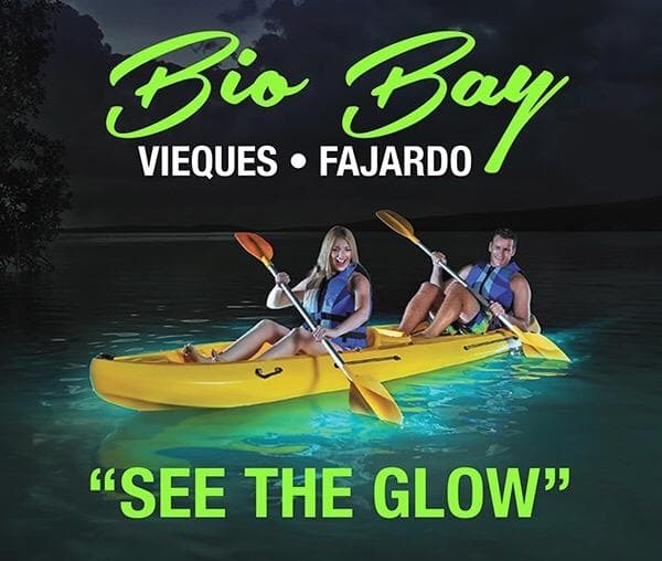 Kayakers paddling glowing bioluminescent bay at night