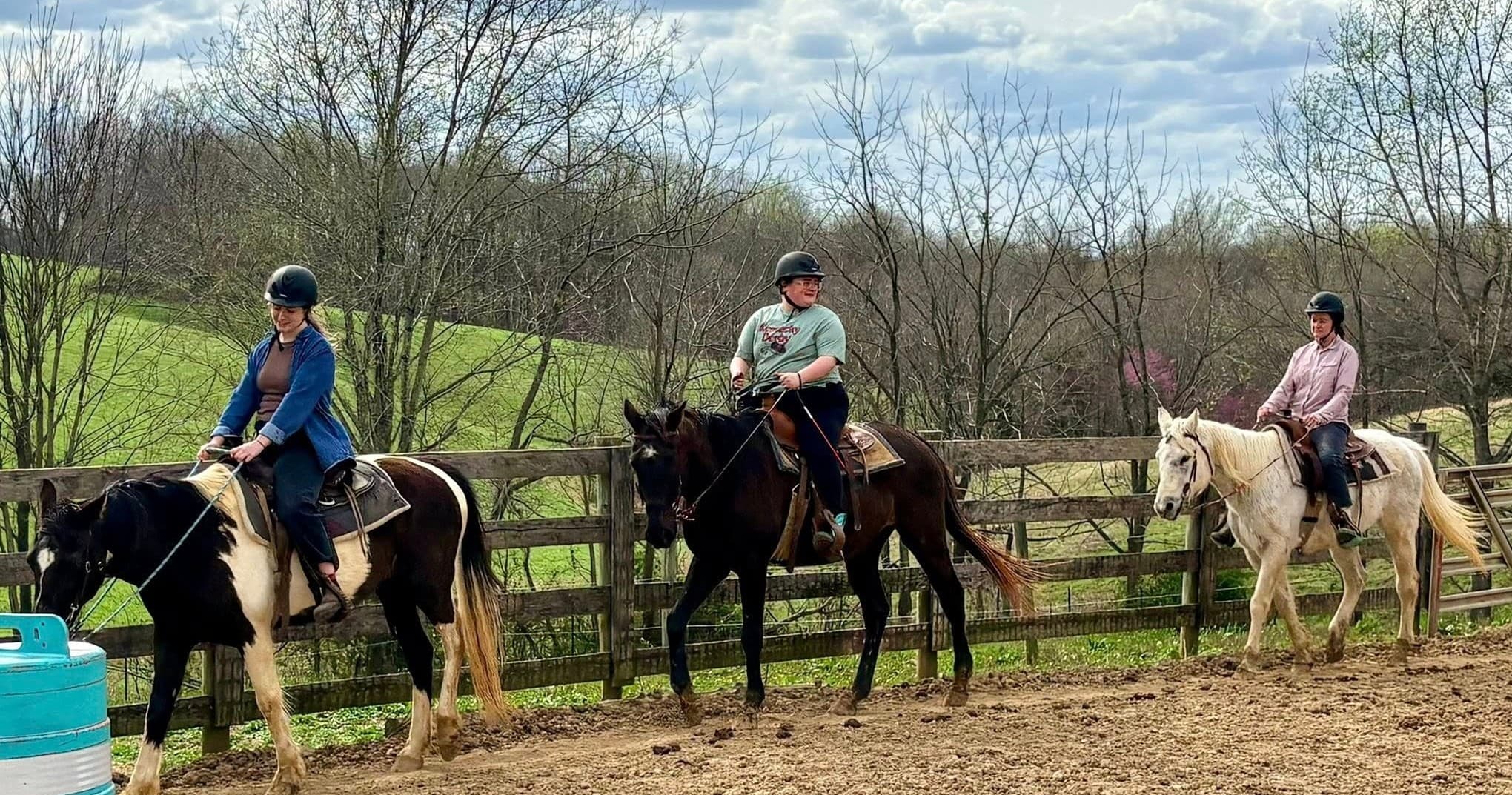 Hands-On Horsemanship: Private Group Lessons in Park City, Kentucky