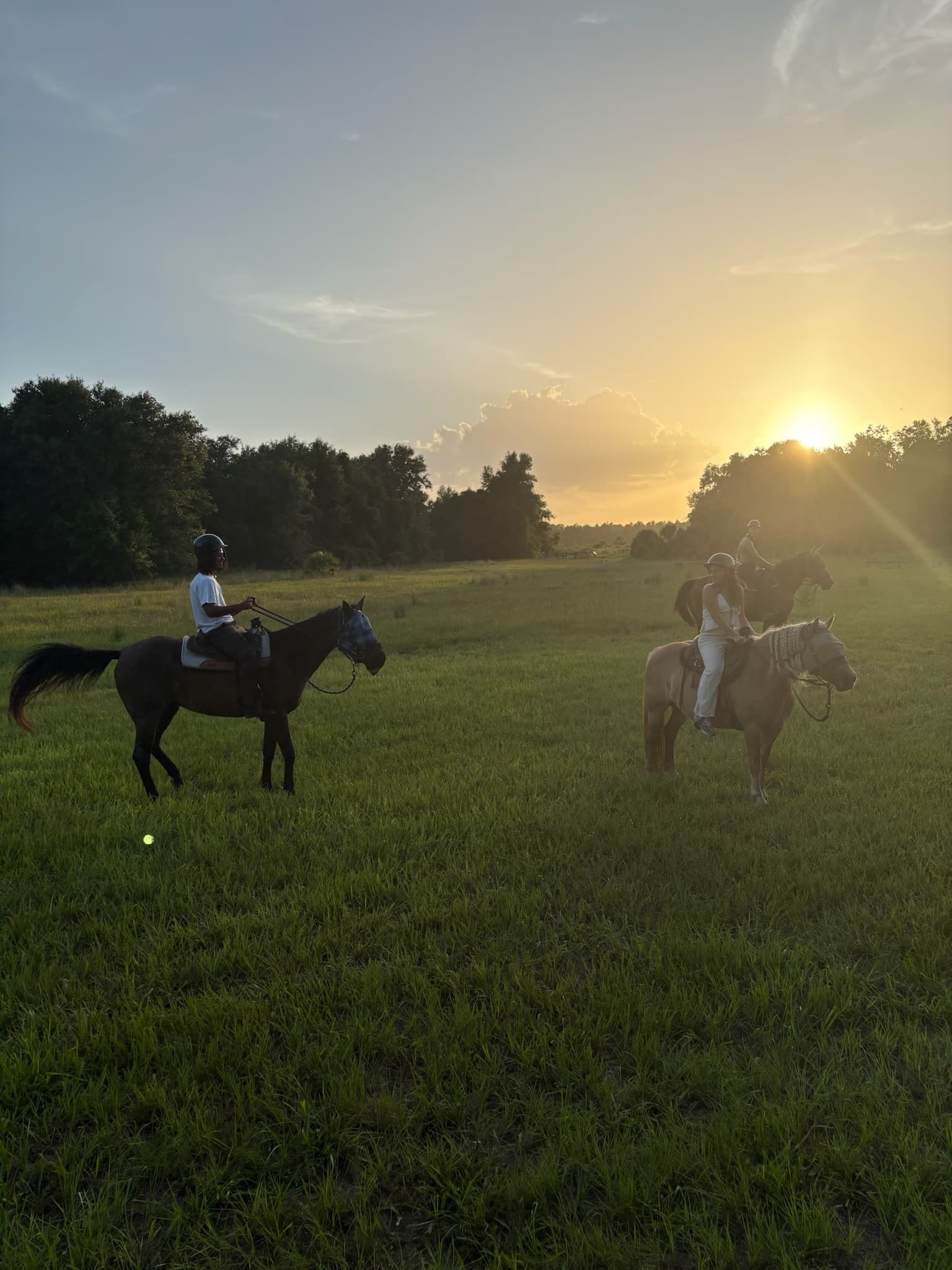 Sorrento Horseback Trail Ride: 90-Minute Guided Ride Through Central Florida Flatwoods