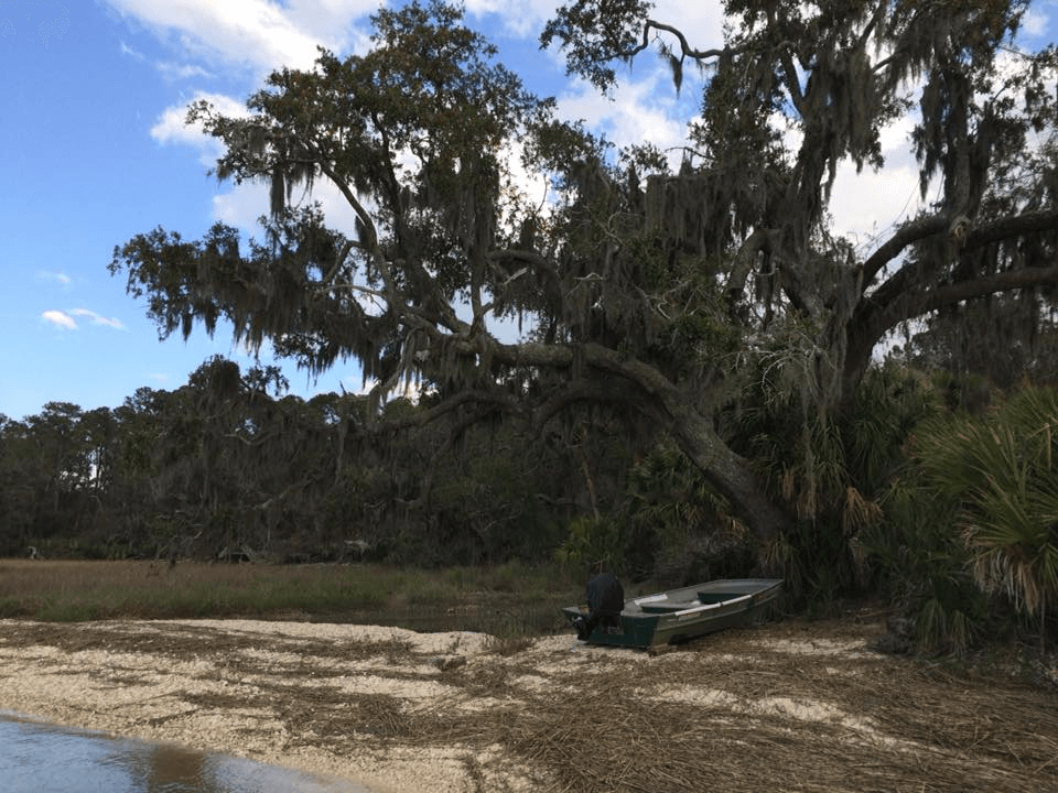 Discover the Tranquil Escape of Little Tybee Beach: A Scenic Boat Day from Savannah, Georgia