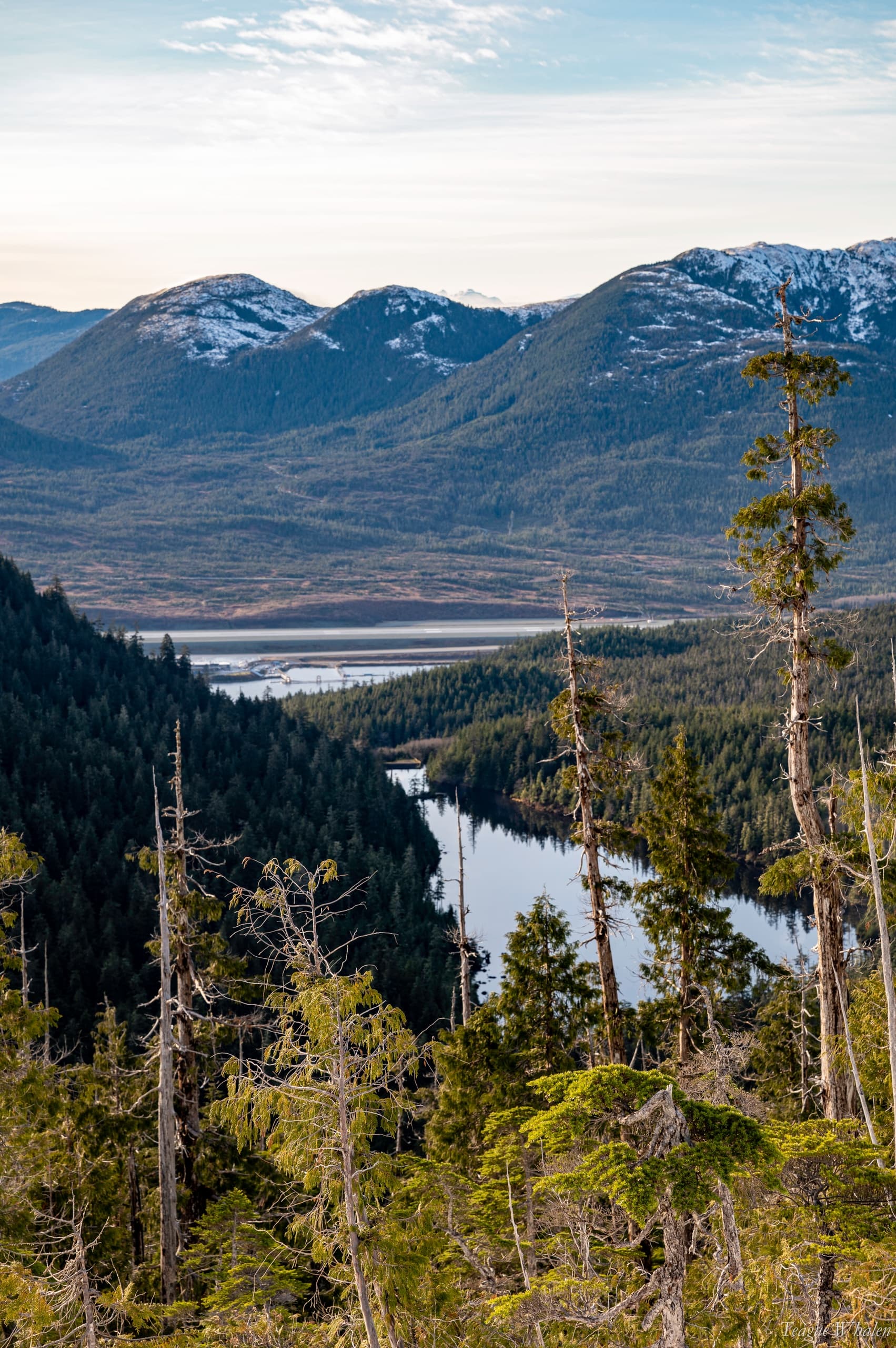 Valley river winding through conifer forests and mountain pass
