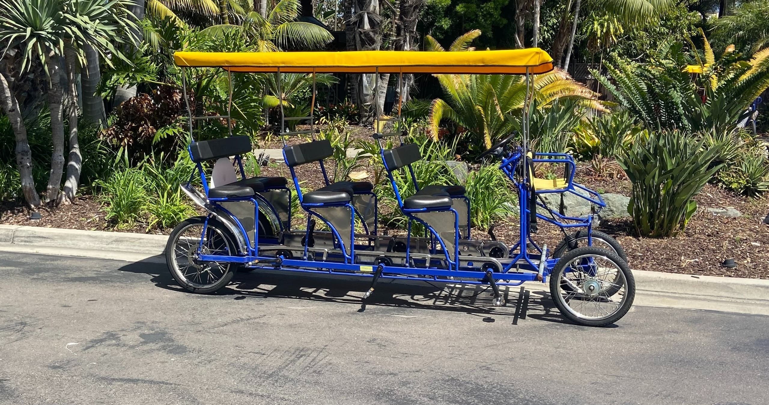 Family Fun on Triple Surrey Bikes in San Diego, CA