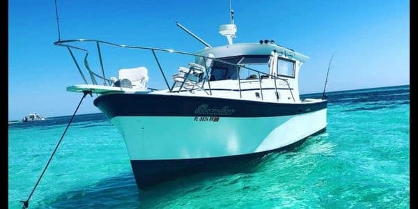 Native Sun Private Charters fleet