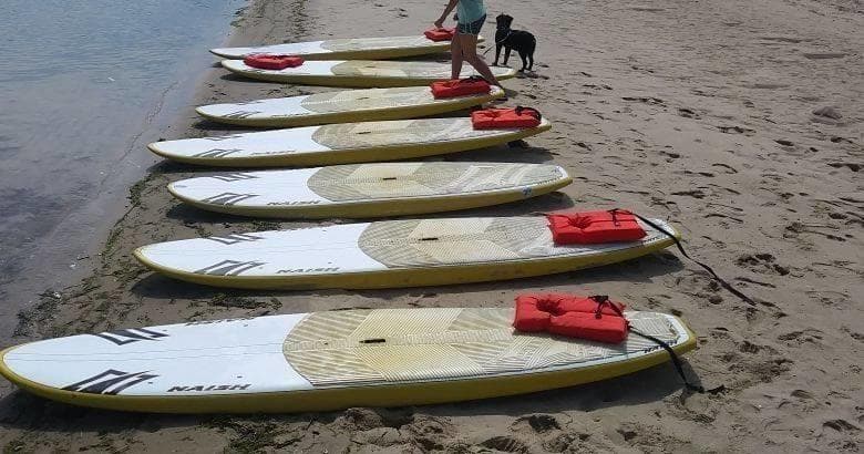 Board Rentals in Belmar: Paddleboarding Adventure Awaits