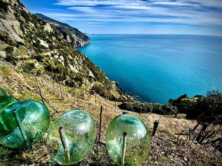 Wine and Vineyard Tours with Arbaspaa in Riomaggiore