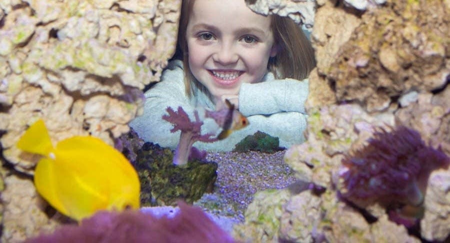 Explore Marine Wonders at Seacoast Science Center, Rye NH