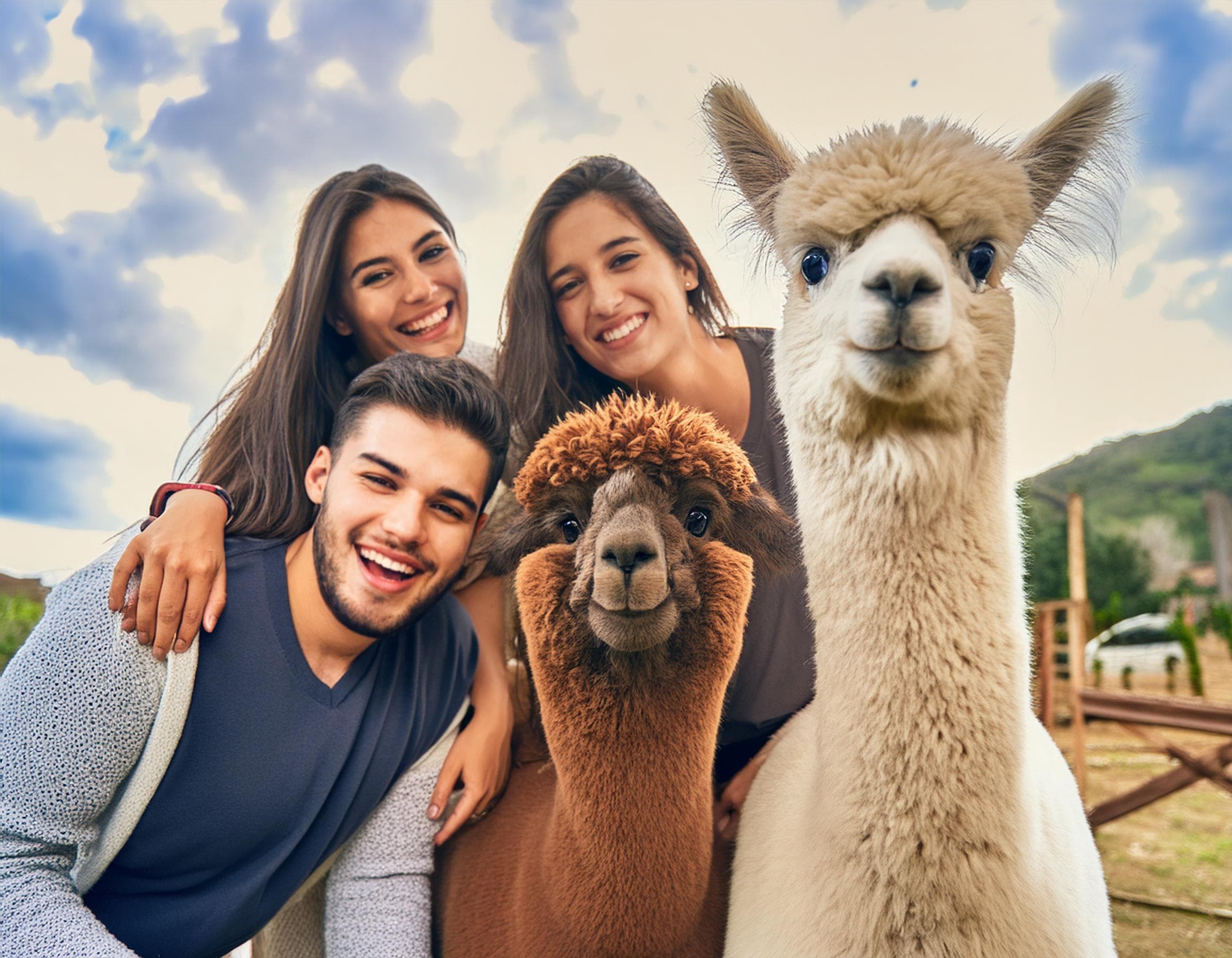 Adventures with Furry Friends: Private Alpaca Trail Walk at Bracken Hill Farm