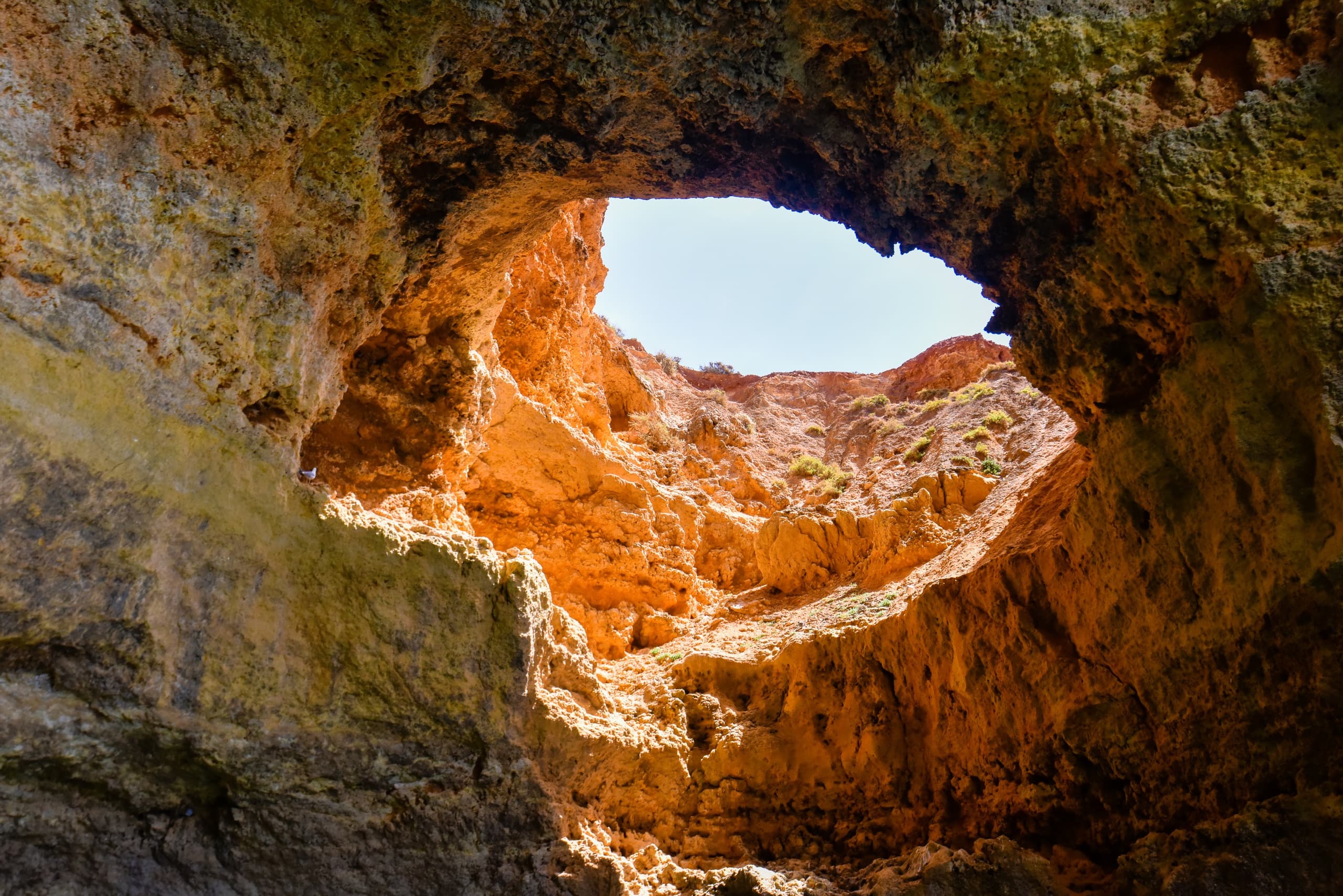 Benagil & Praia da Marinha Boat Tour by Feel Free Algarve