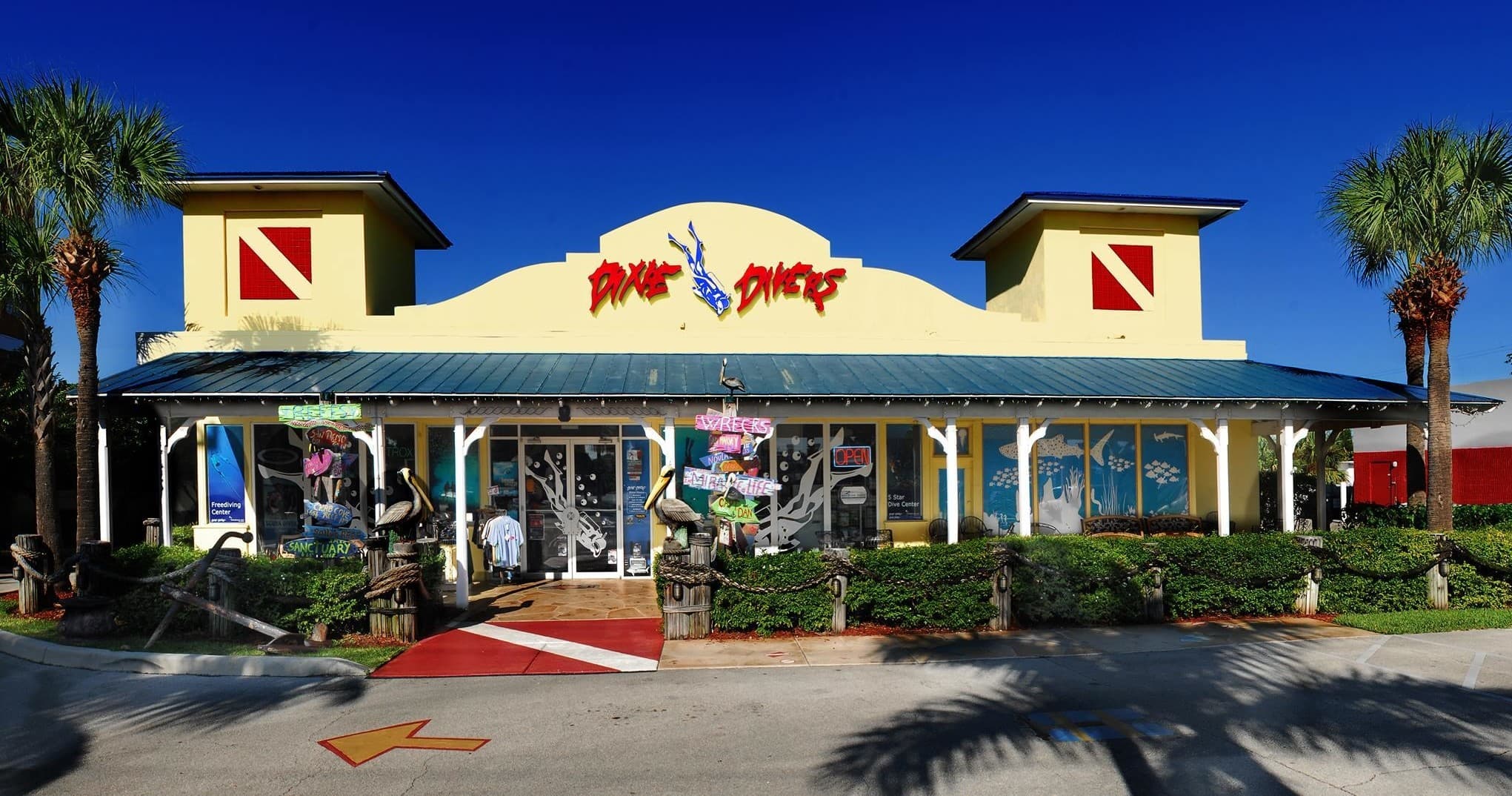 Bimini Dolphin Weekend Trip: Seaplane, Wreck Dives & Wild Dolphin Snorkel