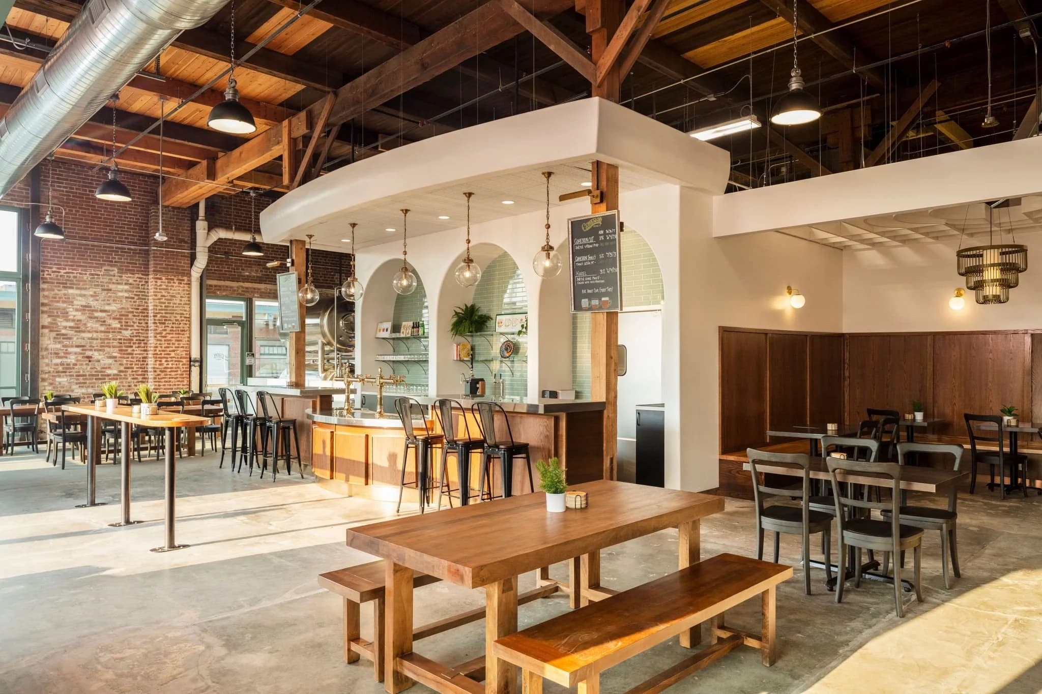 Bonsai Bar at Cohesion Brewing: Make a Tiny Tree in 2 Hours in Denver