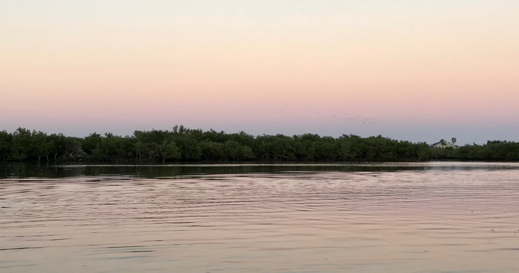 Sunset Eco Cruise at Marine Discovery Center in New Smyrna Beach