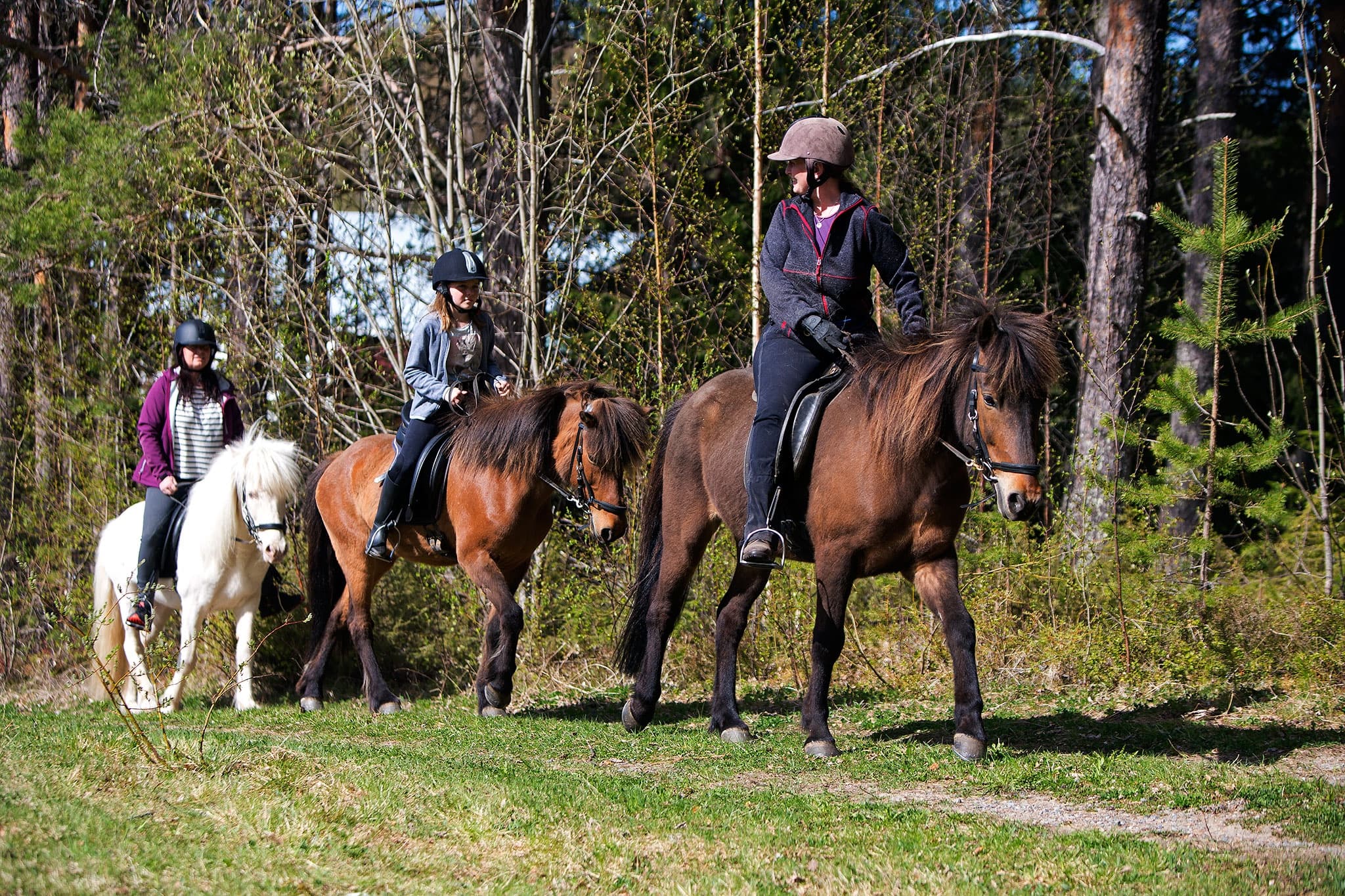 Explore Sweden’s Boreal Beauty on a Family-Friendly Icelandic Horse Ride
