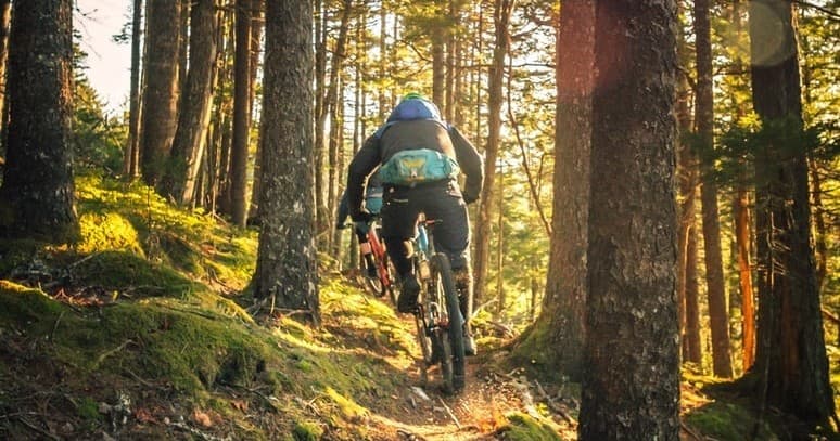 Explore Hilversum Trails with Top Mountain Bike Rentals