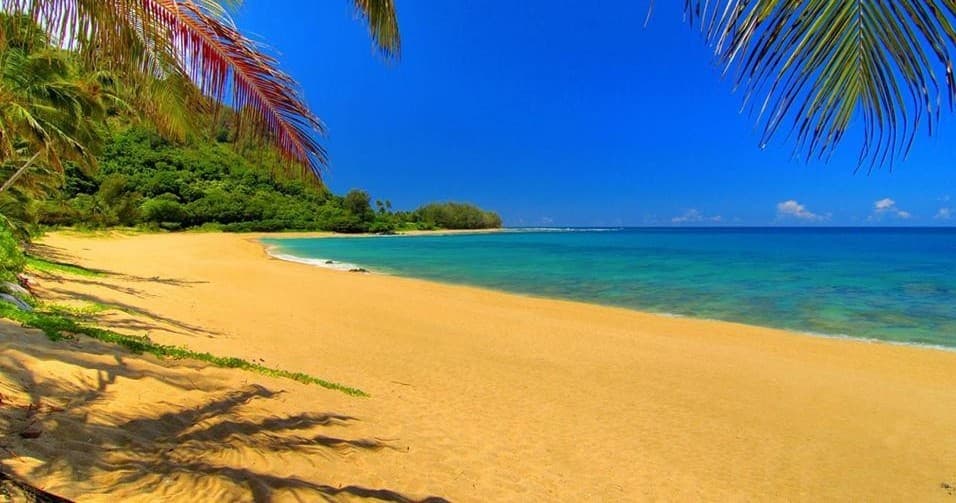 Tropical beach shoreline with calm ocean, ideal for kayaking