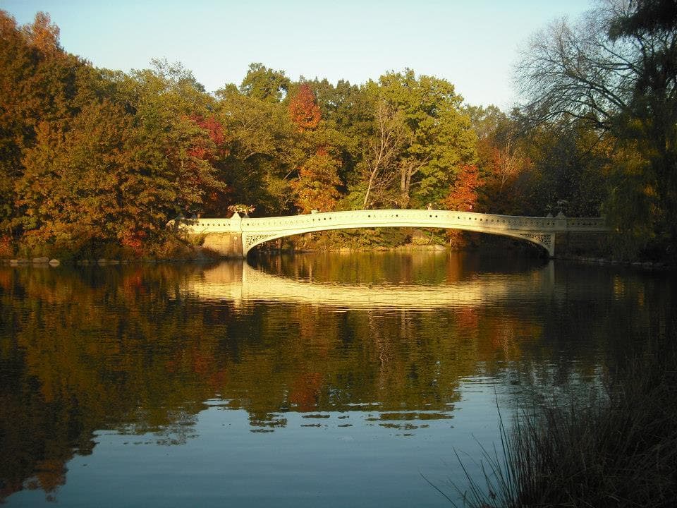 Scenic Bow Bridge over peaceful Central Park lake in autumn