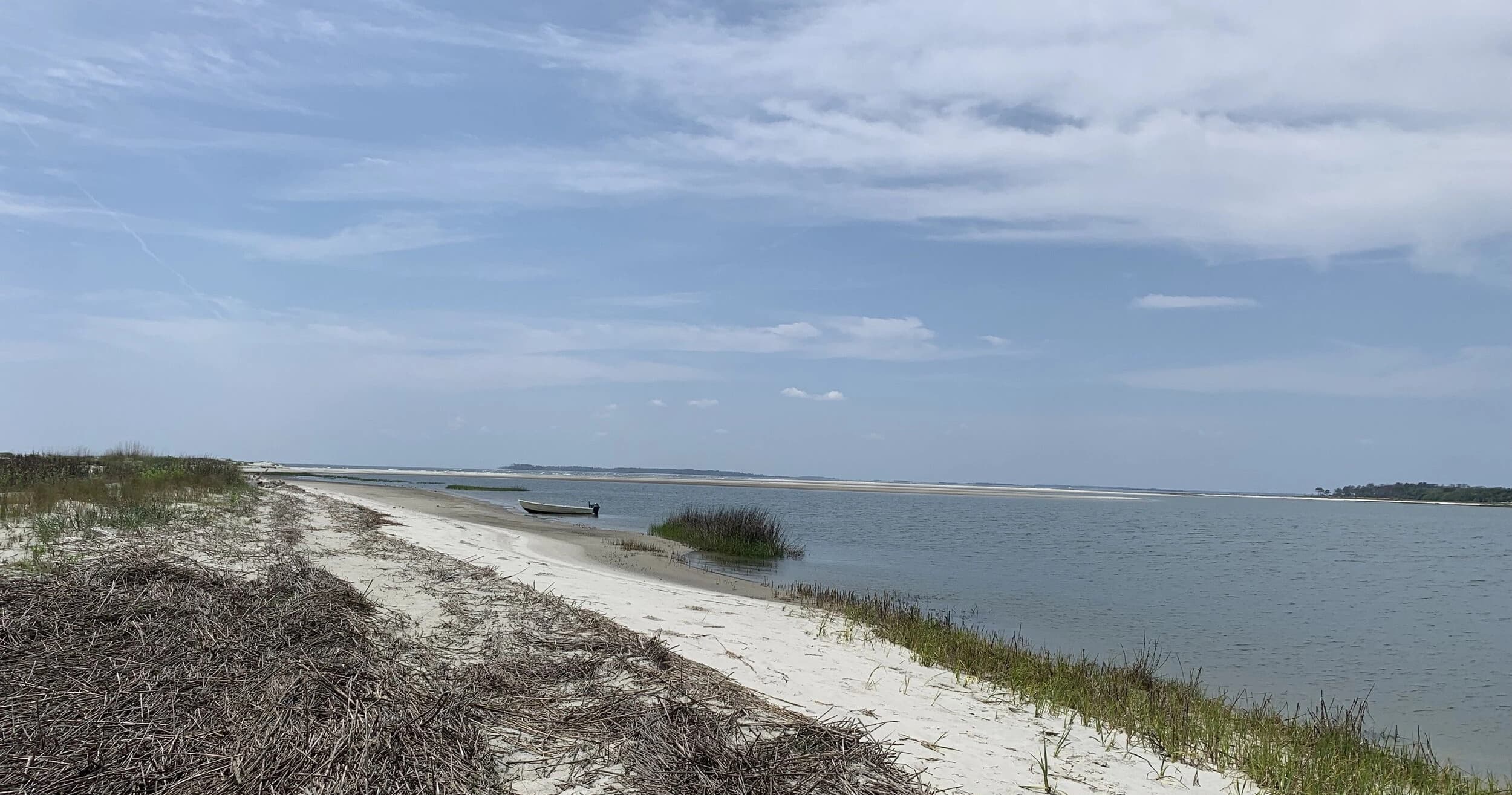Little Tybee: Shelling a Pristine Georgia Barrier Island (3-Hour Drop-Off Adventure)