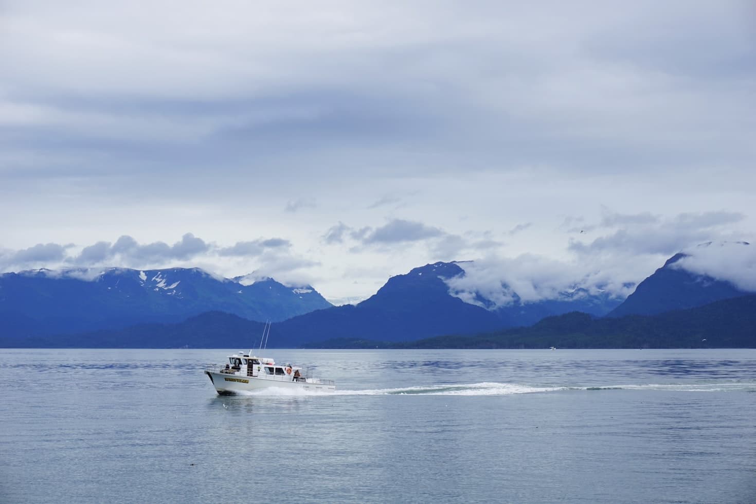 Experience the Ultimate Halibut and Salmon Fishing Charter in Homer, Alaska