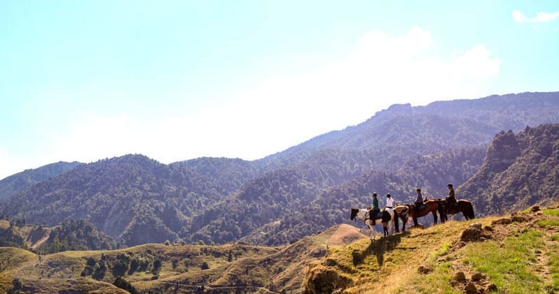 Home on the Range: A Premier Multi-Day Riding Adventure in Taihape, New Zealand