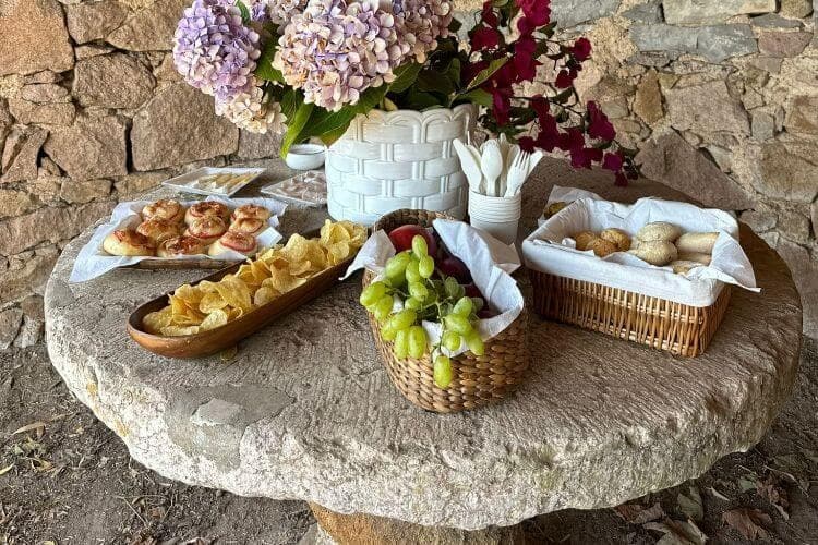 Atlantic Vineyard Picnic in Colares: Gourmet Baskets & Sintra Views