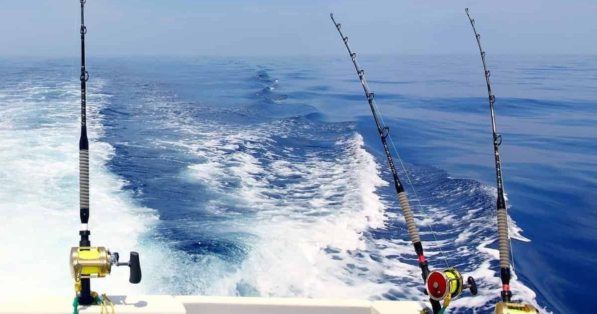 Seven-Hour Striped Bass Charter from Belmar: Private NJ Sportfishing Trip