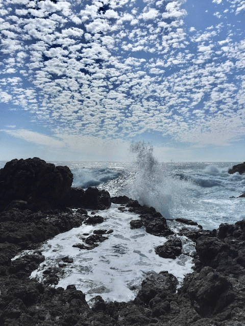 Guided Hiking in Big Sur with Big Sur Guided Tours