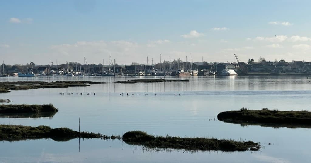 Calm estuary panorama with distant boats and marsh islands