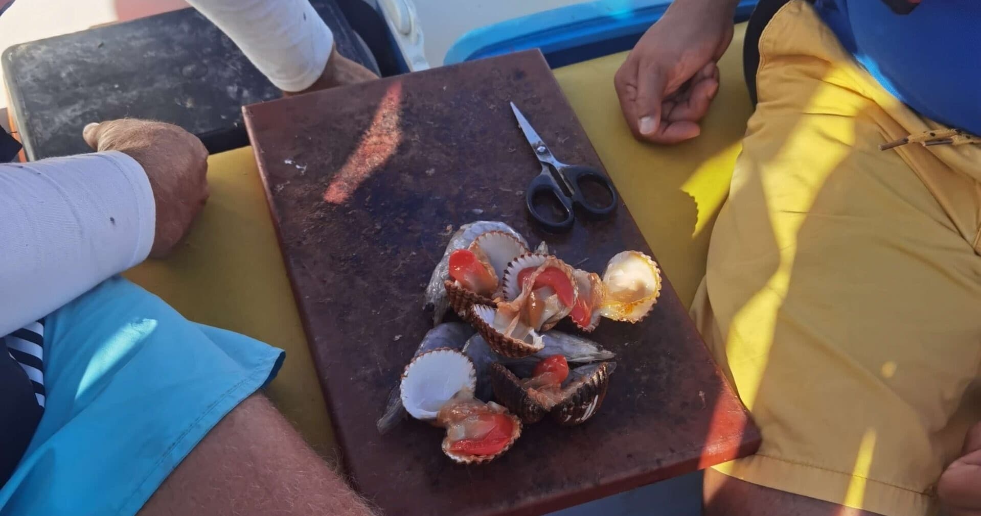 Bottom Fishing Adventure with Welcome Boat Trips in Algarve