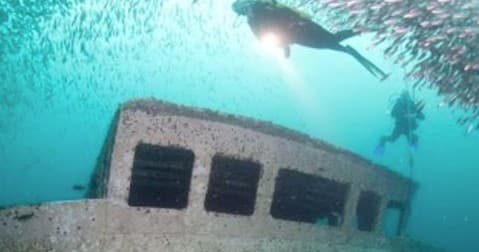 Water Activities & H2O Below Dive Charters in Gulf of Mexico