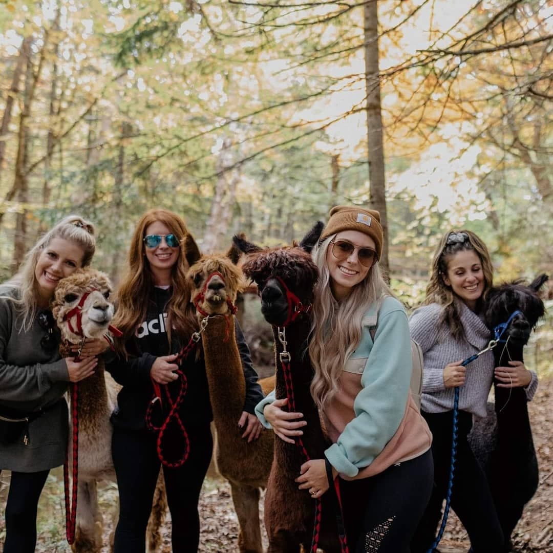 Women posing with llamas on autumn woodland adventure tour